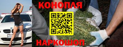 прущие грибы Рязань