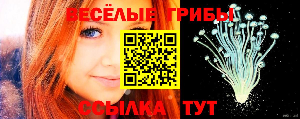 Галлюциногенные грибы Psilocybine cubensis  Галлюциногенные грибы MAGIC MUSHROOMS  Вход с VPN  Орёл 